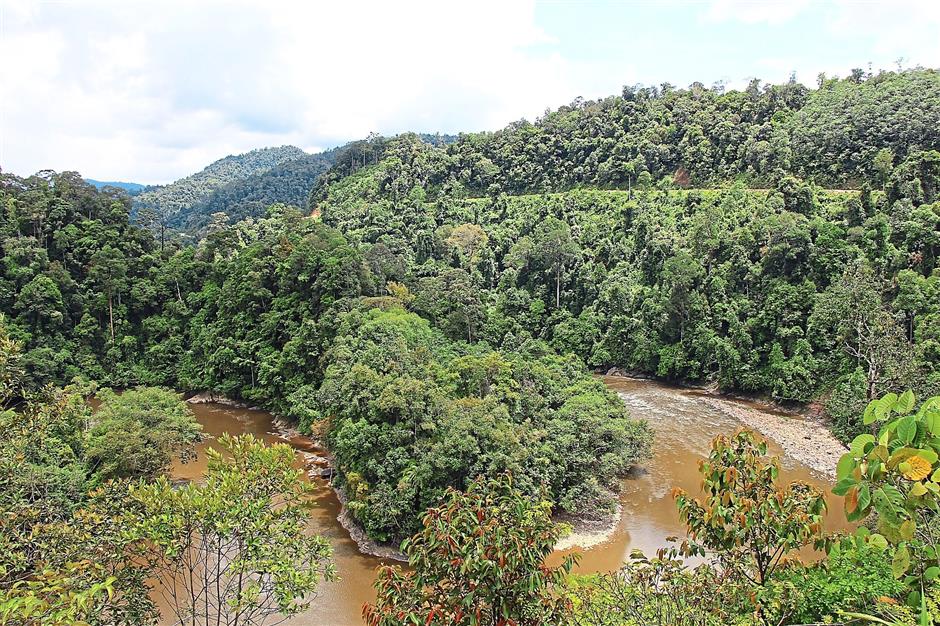 Kubaan-Puak area in Sarawak. Malaysia is a recognised world leader in forest protection. Photo: Filepic