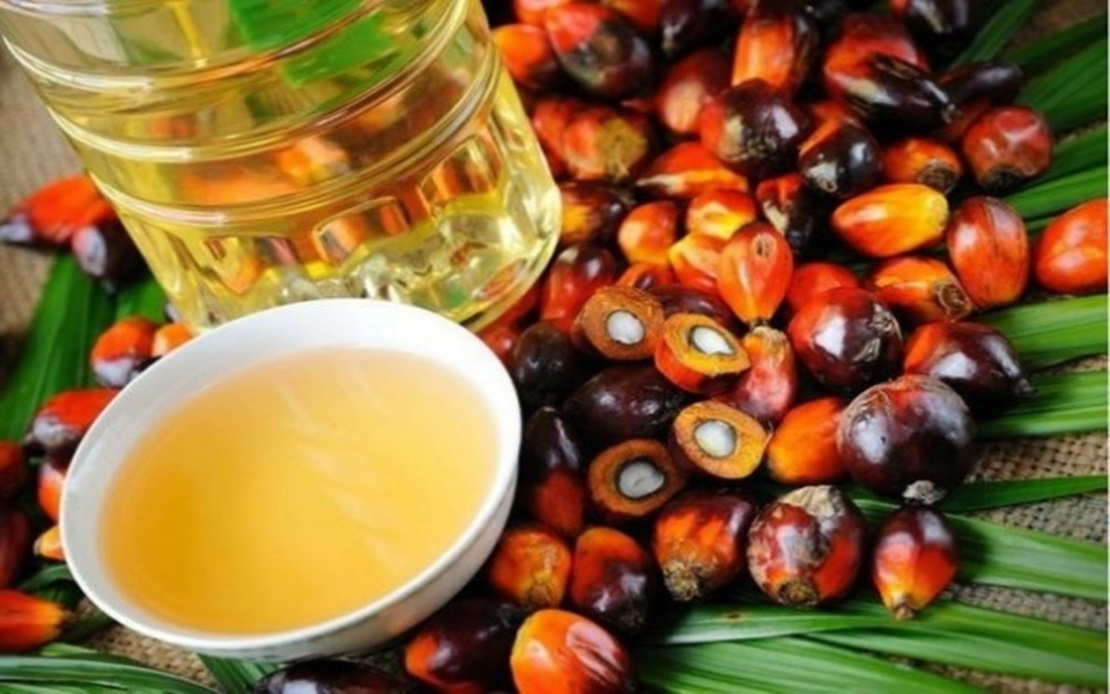 ts chairman Eric Kiu said such regulations are meant to restrict or prohibit the import of palm oil to the EU if the supply chain does not meet their open-ended criteria. — Bernama photo